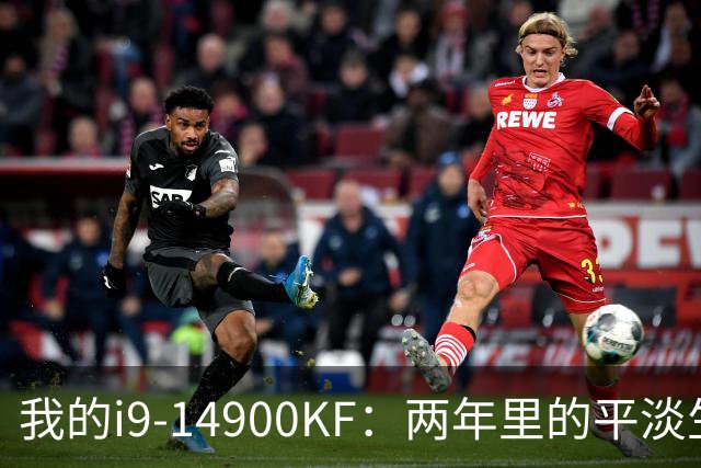 我的i9-14900KF：两年里的平淡生活与意外风波