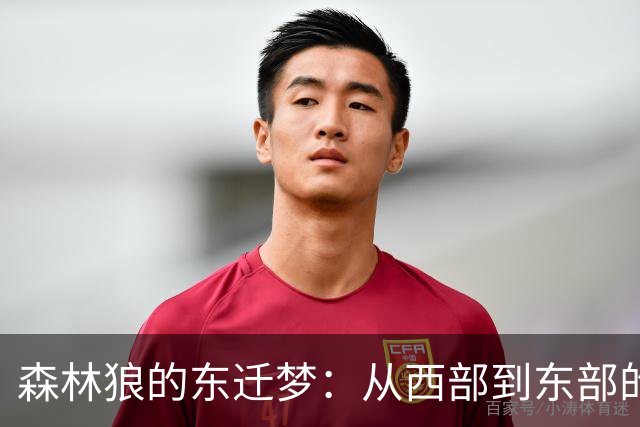 森林狼的东迁梦：从西部到东部的冒险之旅？