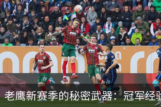 老鹰新赛季的秘密武器：冠军经验加持